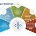 The 5 IT Guiding Principals are 1. Lead with collaboration to enable the mission and provide excellent constituent service.  2. Drive innovation from Within. 3. Build trust with all communities at Rice through structure, communication, and efficacy. 4. Facilitate learning, scholarship, and speed to scientific innovation. 5. Invest wisely in the right tech for the right reasons.